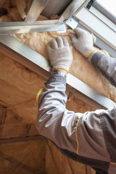 Professional Insulation Contractor in Cleveland, MS