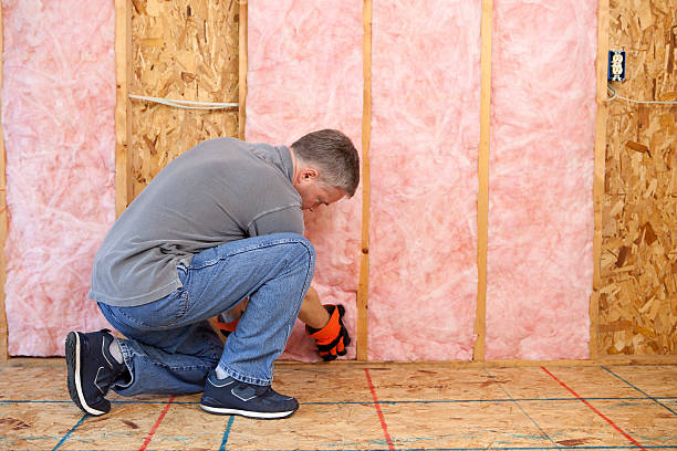Insulation Inspection Services in Cleveland, MS