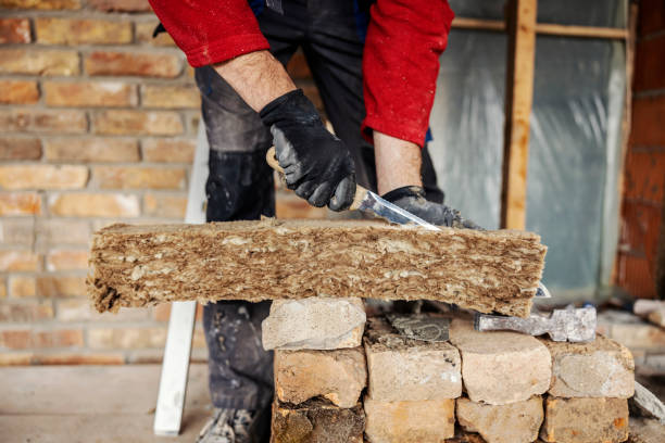Best Wall Insulation Contractor  in Cleveland, MS